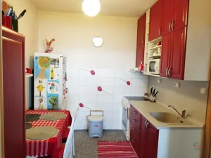 Pronájem bytu 2+1, Ostrava, Bedřicha Nikodema, 51 m2