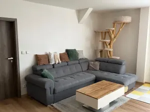 Pronájem bytu 4+kk, Aš, Nádražní, 155 m2
