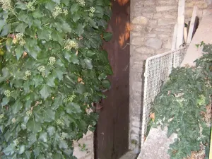 Prodej domu, Vysoké Mýto, 34 m2