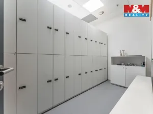 Pronájem obchodního prostoru, Praha, Jihlavská, 30 m2