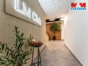 Pronájem komerční nemovitosti, Praha, Jihlavská, 30 m2