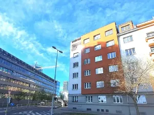 Prodej bytu 1+1, Praha - Nusle, Hvězdova, 49 m2