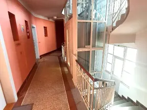 Prodej bytu 1+1, Praha - Nusle, Hvězdova, 49 m2