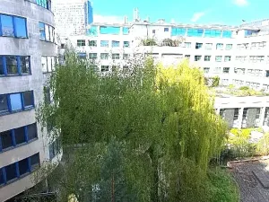 Prodej bytu 1+1, Praha - Nusle, Hvězdova, 49 m2