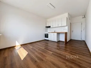 Pronájem bytu 1+1, Ústí nad Labem, Stará, 36 m2