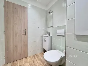 Pronájem bytu 1+1, Ústí nad Labem, Stará, 36 m2