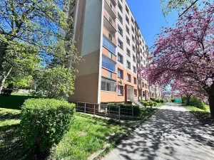 Pronájem bytu 1+1, Ústí nad Labem, Stará, 36 m2