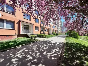 Pronájem bytu 1+1, Ústí nad Labem, Stará, 36 m2