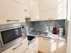 Pronájem bytu 2+1, Praha - Staré Město, Haštalská, 49 m2