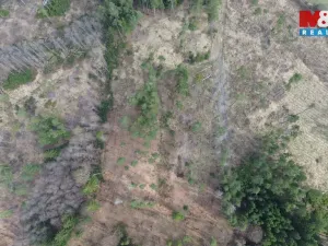 Prodej lesa, Mrákotín, 7873 m2