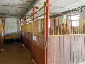 Prodej rodinného domu, Úmyslovice, 110 m2