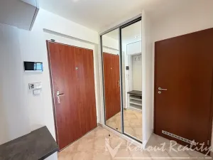 Pronájem bytu 1+kk, Praha - Záběhlice, Mattioliho, 45 m2