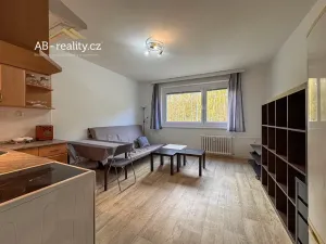 Pronájem bytu 2+kk, Teplice, Habrová, 43 m2