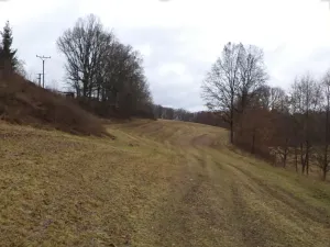 Dražba louky, Mladá Vožice, 26557 m2