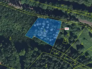 Dražba lesa, Jablonec nad Jizerou, 2416 m2