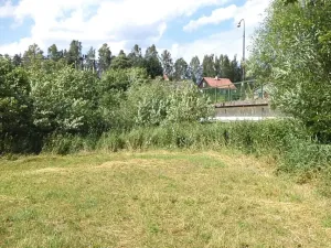 Dražba louky, Teplice nad Metují, 1315 m2