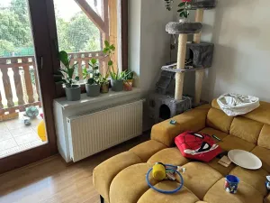 Dražba rodinného domu, Staré Město, Jezuitská, 346 m2