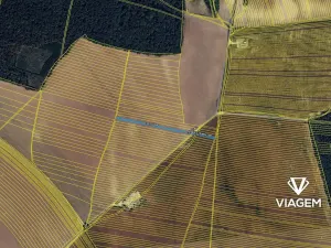 Prodej pole, Dolní Bojanovice, 3004 m2