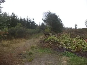 Prodej pozemku, Peč - Urbaneč, 7060 m2