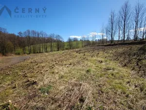 Prodej pozemku pro bydlení, Dlouhý Most, 3625 m2