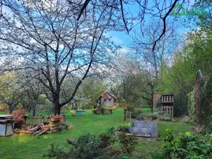 Pronájem zahrady, Brno, 400 m2