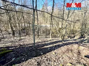 Prodej pozemku pro bydlení, Heřmanov - Fojtovice, 835 m2