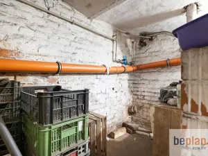 Prodej bytu 4+1, Štěpánkovice, Albertovec, 150 m2