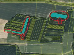 Prodej podílu lesa, Puclice, 12856 m2