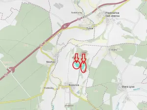 Prodej podílu lesa, Sojovice, 6719 m2