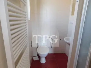 Prodej vícegeneračního domu, Mochov, 296 m2