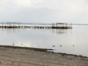 Prodej bytu 2+1, Murcia City, Španělsko, 52 m2