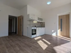 Pronájem bytu 2+kk, Peruc, U Koupaliště, 41 m2