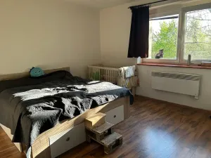 Prodej rodinného domu, Újezdec, 98 m2