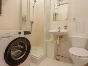 Pronájem bytu 1+1, Brno, Krkoškova, 36 m2