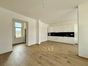 Pronájem bytu 2+kk, Teplice, Vrázova, 70 m2