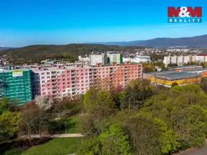 Prodej bytu 1+kk, Ústí nad Labem - Severní Terasa, Pod Parkem, 19 m2