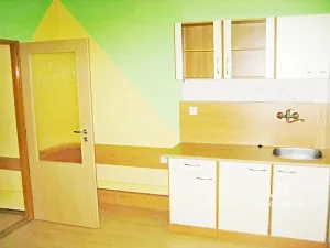 Pronájem bytu 3+kk, Brno - Veveří, Bayerova, 56 m2