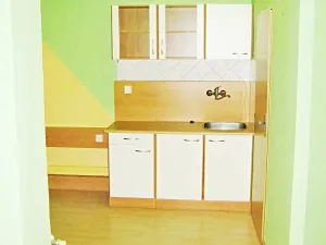 Pronájem bytu 3+kk, Brno - Veveří, Bayerova, 56 m2