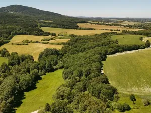 Prodej lesa, Horní Stropnice, 35281 m2