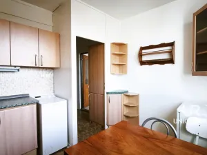 Prodej bytu 1+1, Vyškov - Dědice, Sídliště Osvobození, 30 m2