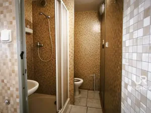 Prodej bytu 1+1, Vyškov - Dědice, Sídliště Osvobození, 30 m2