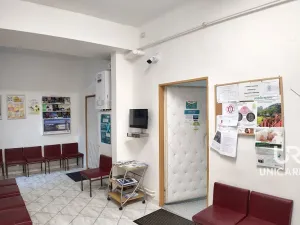 Pronájem komerční, Brno - Staré Brno, Nové sady, 76 m2