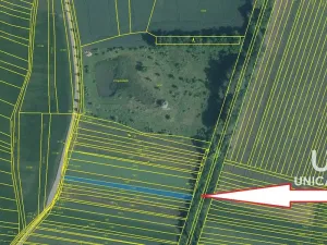 Prodej pole, Opatovice, 680 m2