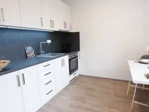 Pronájem bytu 1+1, Brno, Fričova, 46 m2