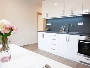 Pronájem bytu 1+1, Brno, Fričova, 46 m2