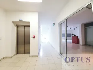 Pronájem bytu 2+kk, Praha - Vinohrady, Korunní, 76 m2