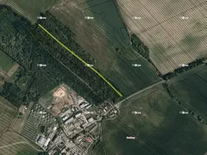 Prodej lesa, Dubňany, 5378 m2