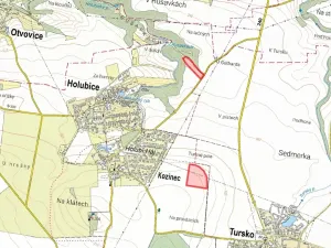 Prodej pole, Holubice, 10984 m2