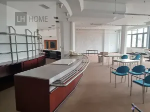 Pronájem komerční nemovitosti, Plzeň, 1000 m2