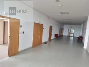 Pronájem obchodního prostoru, Plzeň, 1000 m2